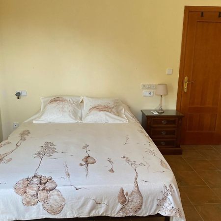 Casa Magnolia, A Rural Paradise House With Pool Alzira Exterior photo