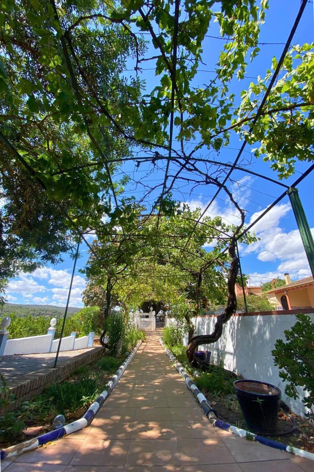 Casa Magnolia, A Rural Paradise House With Pool Alzira Exterior photo
