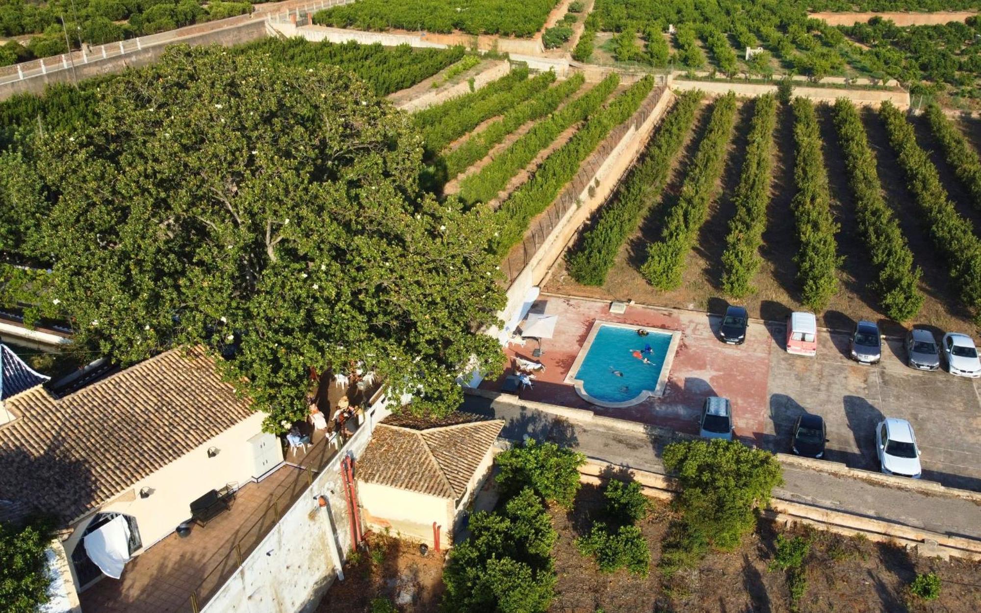 Casa Magnolia, A Rural Paradise House With Pool Alzira Exterior photo