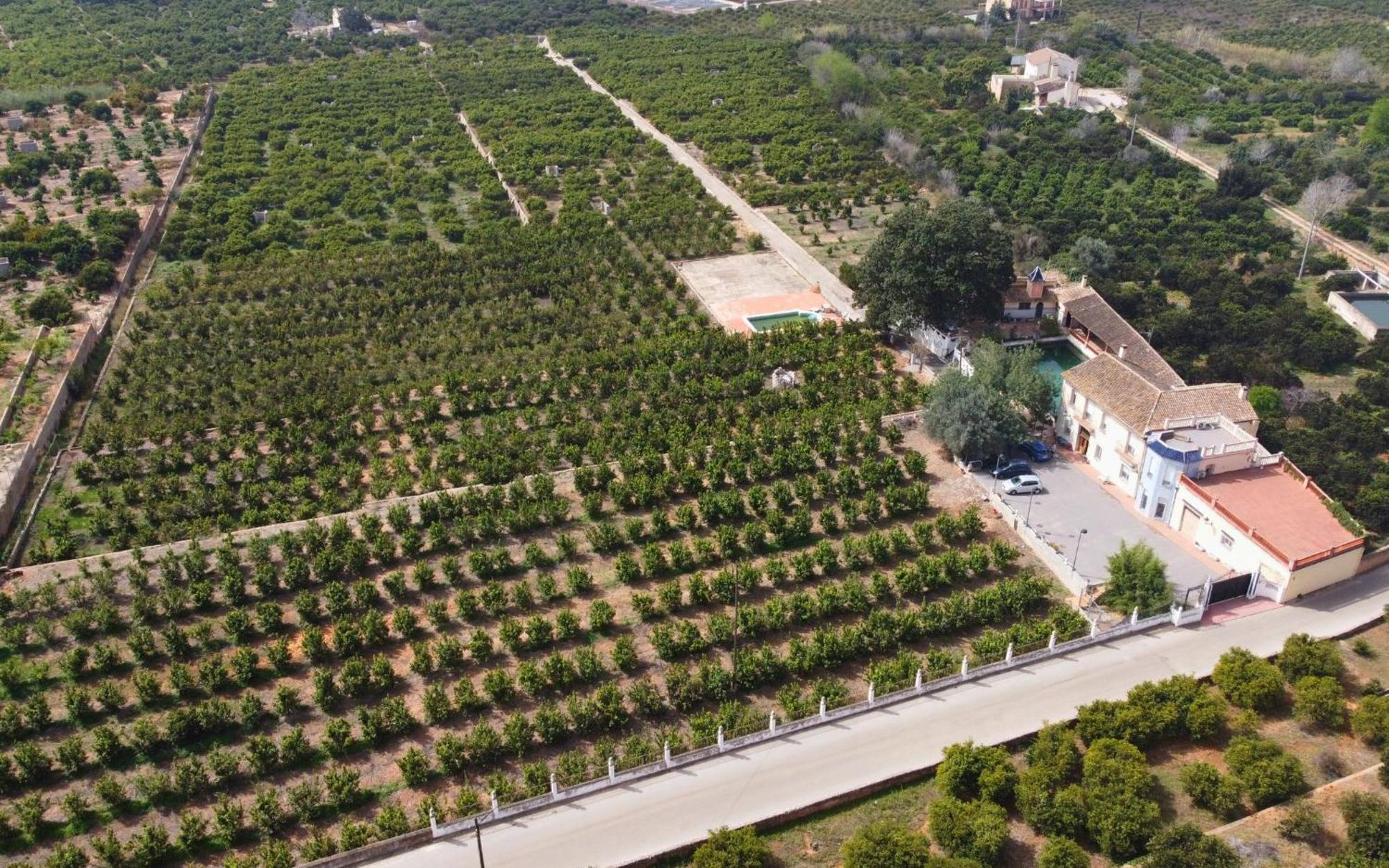 Casa Magnolia, A Rural Paradise House With Pool Alzira Exterior photo