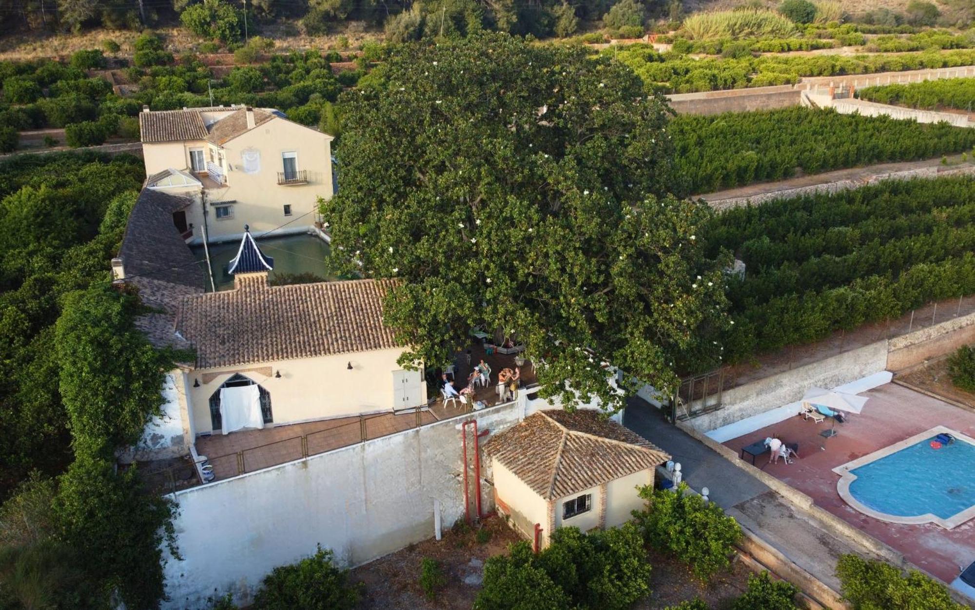 Casa Magnolia, A Rural Paradise House With Pool Alzira Exterior photo